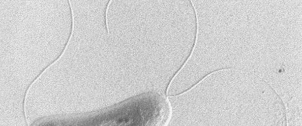 614_256 att-16574