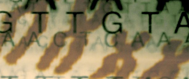 614_256 att-17588