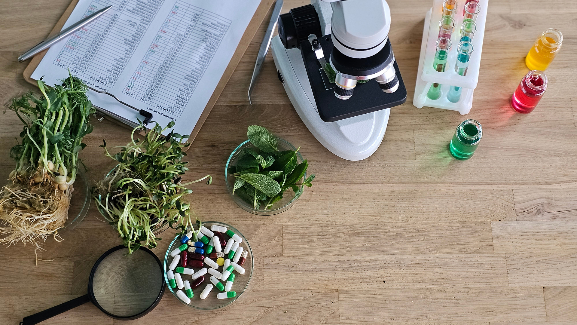 Examining herbs and pills with a microscope in a laboratory setting on a wooden table