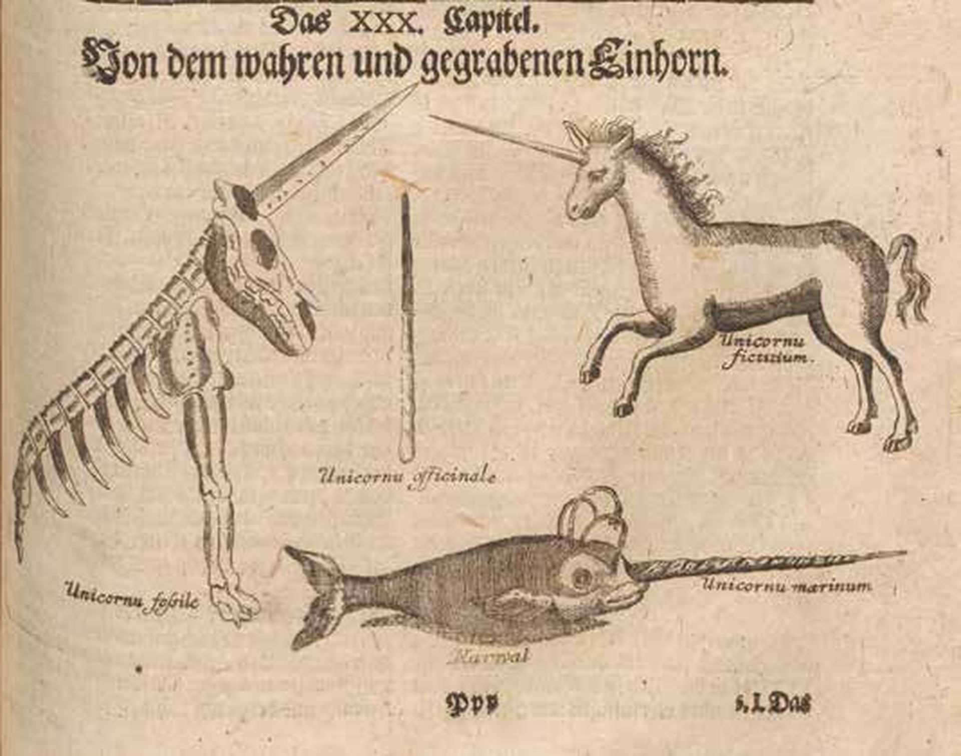 O unicórnio de Magdeburgo